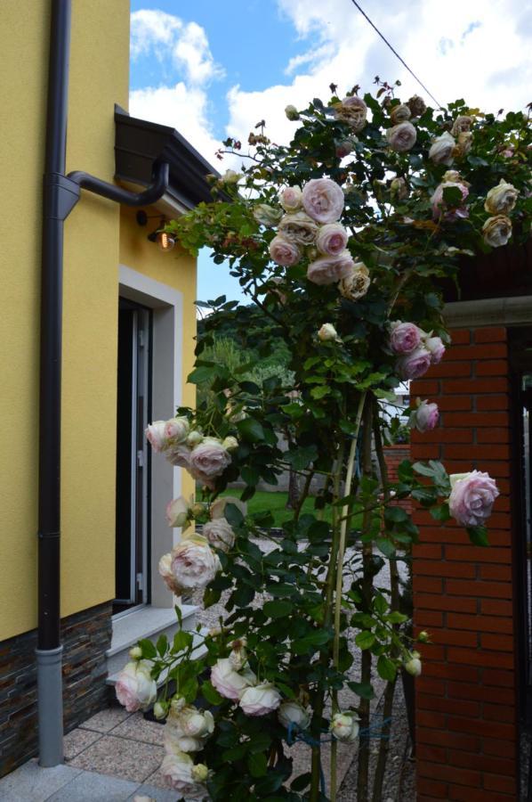 Apartment Kancler Nova Gorica Exterior photo